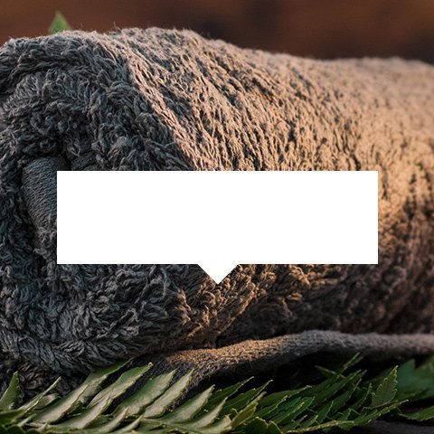 Schönheit